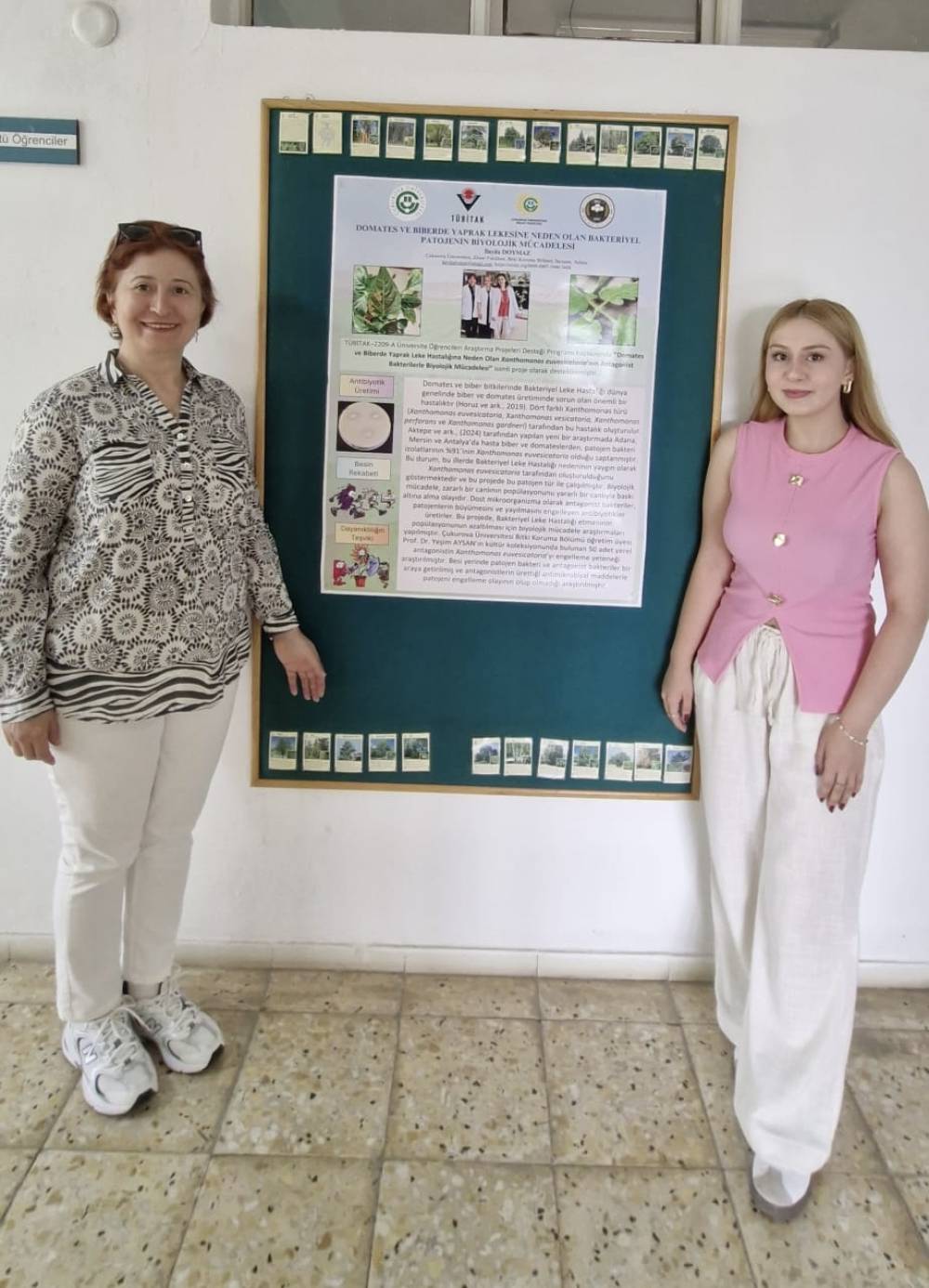 TÜBİTAK 2209-A Üniversite Öğrencileri Araştırma Projeleri Destekleme Programı