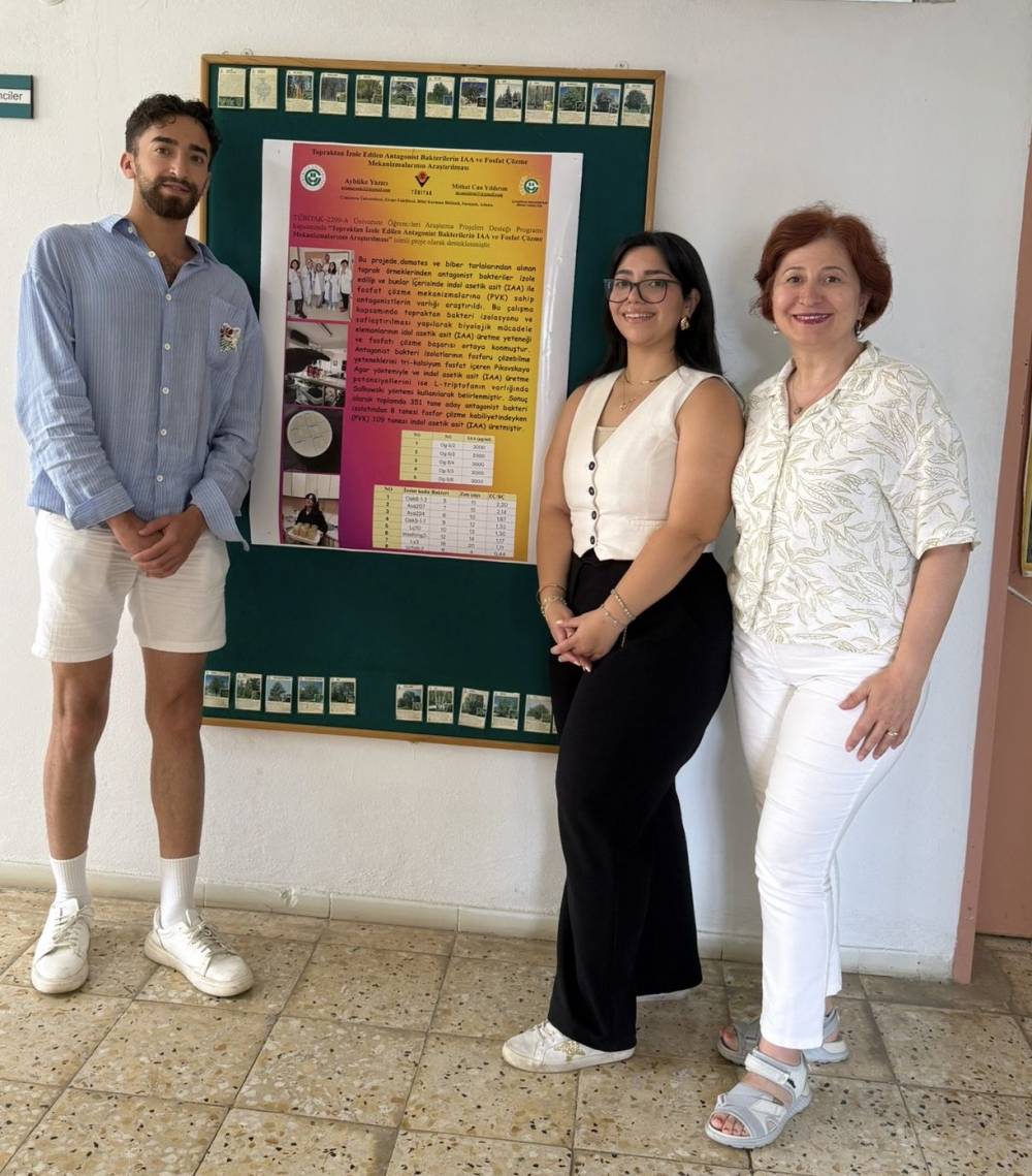 TÜBİTAK 2209-A Üniversite Öğrencileri Araştırma Projeleri Destekleme Programı 
